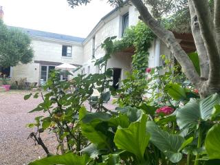 Logis huit clos calme et romantique proche Saumur - Le Coudray-Macouard - 6