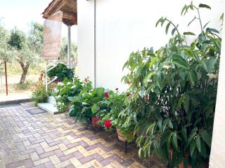 my Green Villa - Zacharo - 5