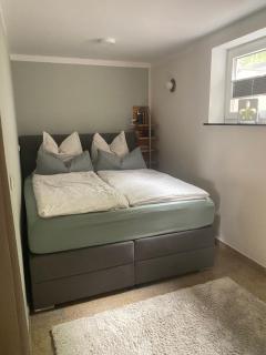 Moderne großzügige Souterrainwohnung Zarrentin Gallin Schaalsee Natur Wald Wasser - 8