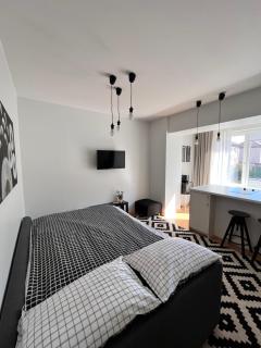 Stilingi šaulio skulptūros apartamentai - Druskininkai - 3