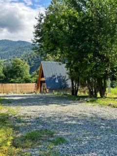 NOMsky suit bungalov - Ardeşen - 8
