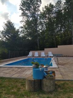 Villa Hani - Sarajevo - 3