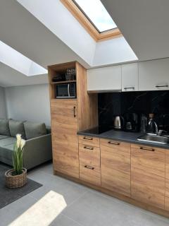 Lux Apart - Apartamenty z jacuzzi i sauną nad Wisłą - Ustroń - 5