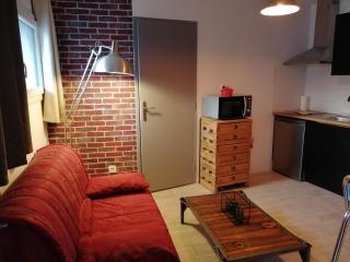 Studio "La Brique Rouge" - Agen - 0