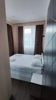 Cozy apartment in Borjomi with beautiful view - 4