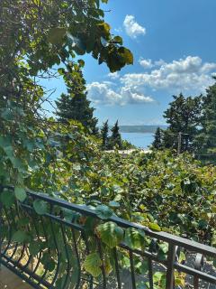 Apartments Matejčić - Crikvenica - 7