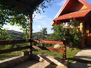 Brvnara Ruska sauna - Čajetina - 8