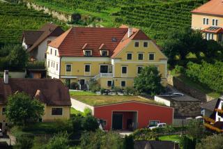Hotel garni Weinberghof & Weingut Lagler - Spitz - 3
