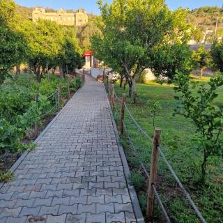 Ponte Romana - Silves - 8