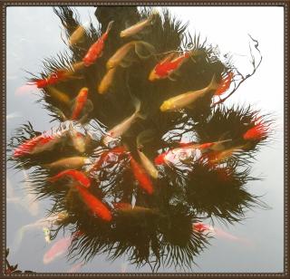 2bedrooms Cottage 1 - 7