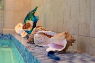 Amber dream Karkle - 8