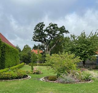 Bellurana®private home - Niedersand - 8