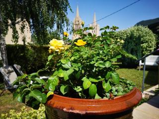 Le Mimat - Jardin - Wifi - Parking - Mende - 5