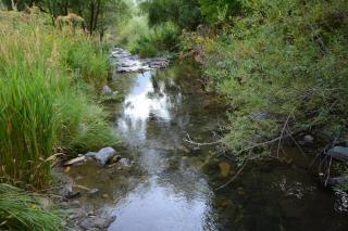 S & M Guest House - Hermon - 7