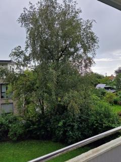 Am Stadtpark mit Parkplatz 1ZKB 48qm - Oldemburgo - 1