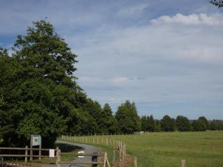 Hôtel de France - 9