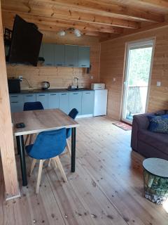 Drewniany domek na kaszubach u Oli - Niesiołowice - 3