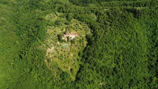 AGRITURISMO PODERE LE PIALLE - 9