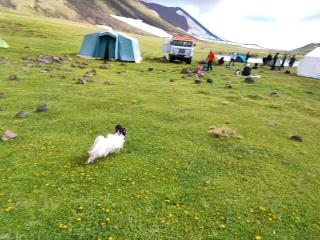 Azhdahak Basecamp - Tsakhkashen - 3