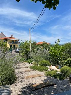 Casa Paola Apartment - 5