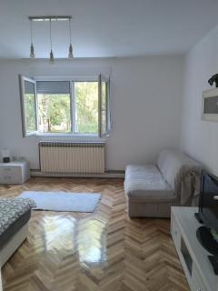APARTMAN MARKOVIC - Loznica - 5