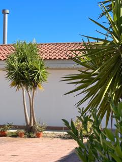 #16 Mini ESTUDIO FAMILIAR AYAMONTE - 3