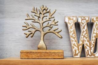 Olimpias Nest Corfu - 1