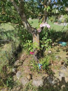 Casa Vacanze Le Vigne - 4