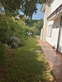 B&B dei Girasoli - Trani - 5