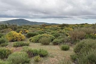 Casa Rural Dunas - Santa María de la Alameda - 7