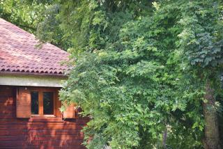 Villa di design con grande parco - Treviso - 5