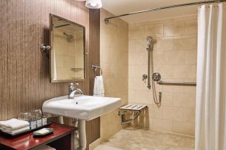 Sheraton North Houston at George Bush Intercontinental - Houston - 1