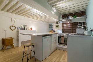 Elegant loft - 4 people - Place Sathonay - Lione - 4