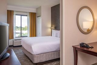 SpringHill Suites by Marriott Norfolk Virginia Beach - Virginia Beach - 6