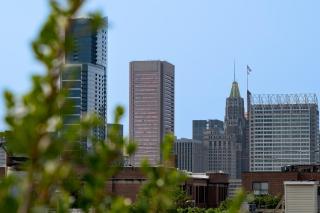 Luxury Federal Hill Home with Rooftop & 4 Parking Spots - Baltimore - 6