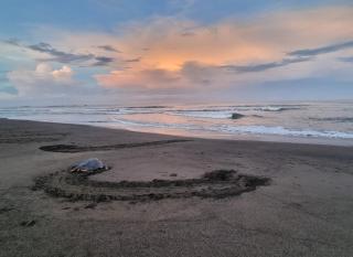casa de playa Paraíso terrenal - San Juanillo - 2