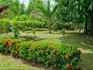 casa de playa Paraíso terrenal - San Juanillo - 4