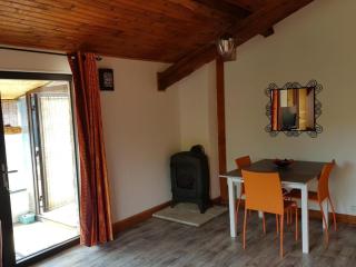 Gîte calme avec poêle à bois, terrasse et animaux admis - FR-1-489-470 - Laprugne - 3