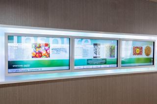 SpringHill Suites Rochester Mayo Clinic Area / Saint Marys - 2