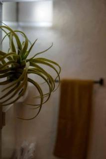 日向サーフキャンプ211 - 4