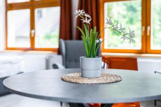 Apartmán v Poděbradech - 7