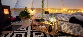 Rucăr Glamping Village - Rucăr - 7