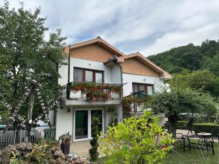 Etno kuća Trifunović - Pretrešnja - 3