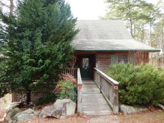 Luxury, loft, log-sided two bedroom Harbor North cottage cottage - Mount Ida - 2