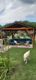 Apartman Stilin Vrdnik - Vrdnik - 9