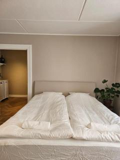 Lärarinnabostad i vacker byskola - 7