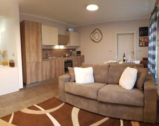 Luxury Villa Četiri Hrasta Apartment - Pićan - 6