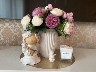 Antakalnis 5 stars apartment - Vilnius - 4