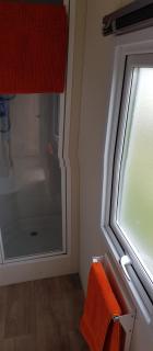 Daisie - Selsey - 1