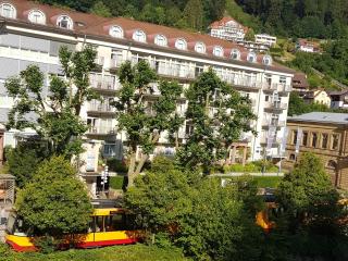 Gemütliche Wohnung im Zentrum von Bad Wildbad - Bad Wildbad - 2